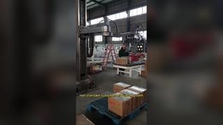 অ-মানক কাস্টম ম্যানিপুলেটর সিস্টেম